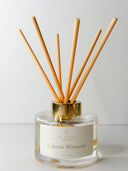 Cactus Blossom Reed Diffuser