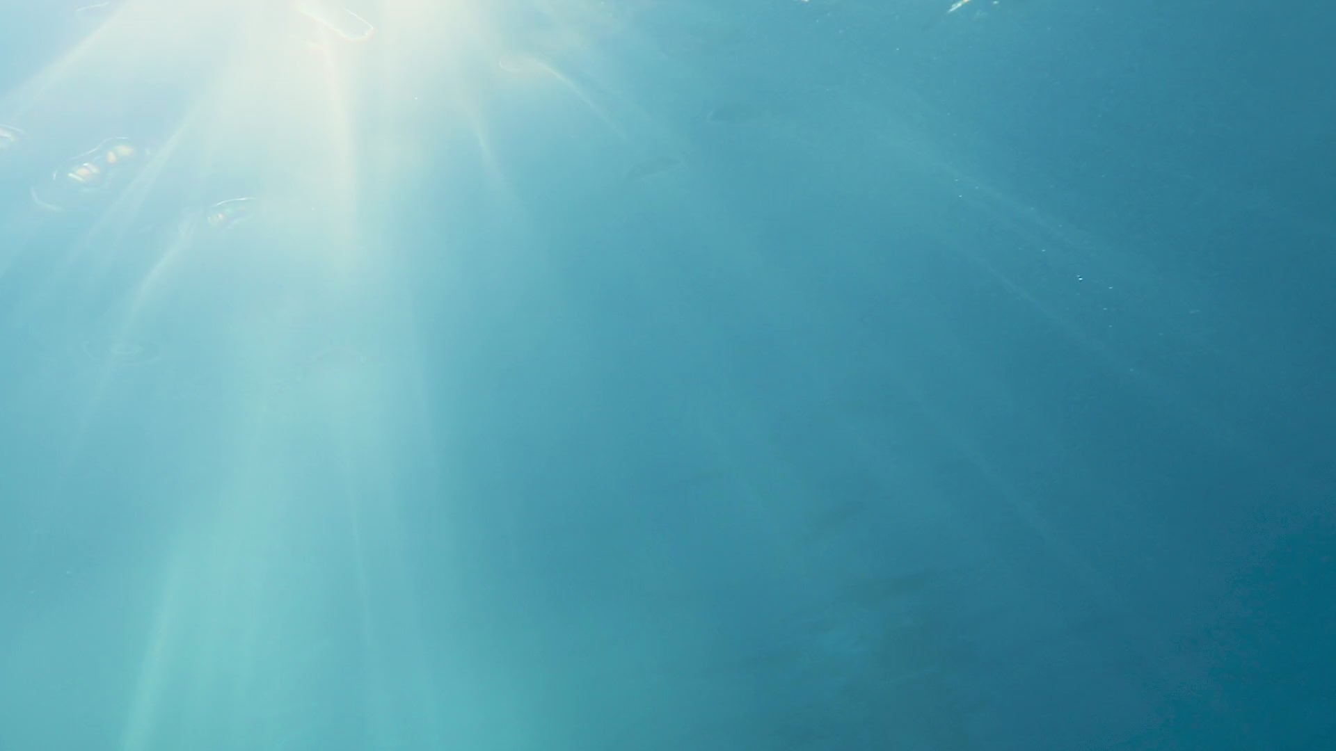 underwater aesthetic pleascent